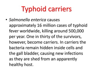 Typhoid carriers
• Salmonella enterica causes
approximately 16 million cases of typhoid
fever worldwide, killing around 500,000
per year. One in thirty of the survivors,
however, become carriers. In carriers the
bacteria remain hidden inside cells and
the gall bladder, causing new infections
as they are shed from an apparently
healthy host.
 