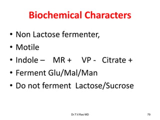 Biochemical Characters
• Non Lactose fermenter,
• Motile
• Indole – MR + VP - Citrate +
• Ferment Glu/Mal/Man
• Do not ferment Lactose/Sucrose
Dr.T.V.Rao MD 79
 