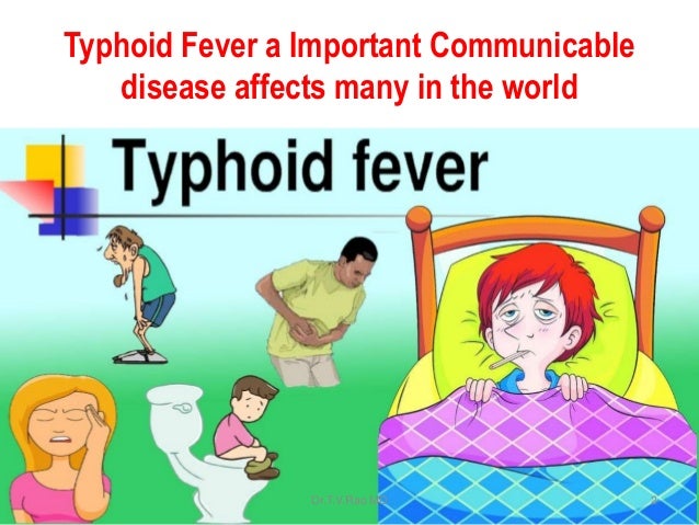 wallpapers Salmonella Symptoms Cartoon enteric fever salmonella infections by