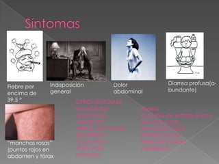 Fiebre por
encima de
39.5 °
Indisposición
general
Dolor
abdominal
Diarrea profusa(a-
bundante)
“manchas rosas”
(puntos rojos en
abdomen y tórax
OTROS SÍNTOMAS
•Sensibilidad
abdominal
•Agitación
•Heces con sangre
•Escalofríos
•Confusión
•Déficit de
atención
•Delirio
•Cambio de estado ánimo
•Alucinaciones
•Sangrado nasal
•Fatiga intensa
•Falta de energía
•debilidad
 