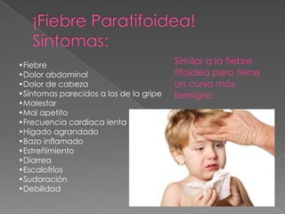 •Fiebre
•Dolor abdominal
•Dolor de cabeza
•Síntomas parecidos a los de la gripe
•Malestar
•Mal apetito
•Frecuencia cardiaca lenta
•Hígado agrandado
•Bazo inflamado
•Estreñimiento
•Diarrea
•Escalofríos
•Sudoración
•Debilidad
Similar a la fiebre
tifoidea pero tiene
un curso más
benigno
 