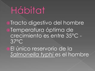 Tracto digestivo del hombre
Temperatura óptima de
crecimiento es entre 35°C -
37°C
El único reservorio de la
Salmonella typhi es el hombre
 