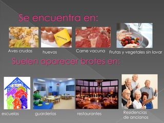 Aves crudas huevos Carne vacuna Frutas y vegetales sin lavar
Suelen aparecer brotes en:
escuelas guarderías restaurantes Residencias
de ancianos
 