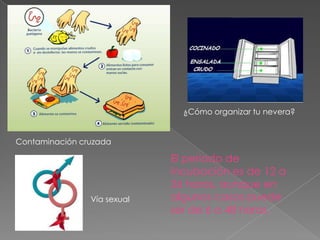 ¿Cómo organizar tu nevera?
Contaminación cruzada
Vía sexual
El periodo de
incubación es de 12 a
36 horas, aunque en
algunos casos puede
ser de 6 a 48 horas
 