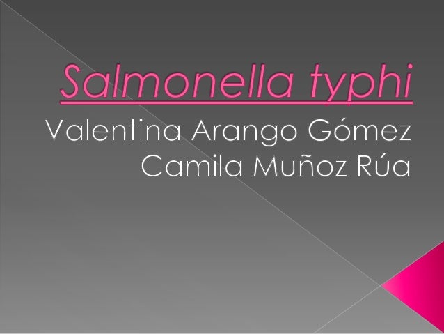 Salmonella typhi