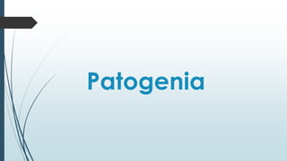 Patogenia
 