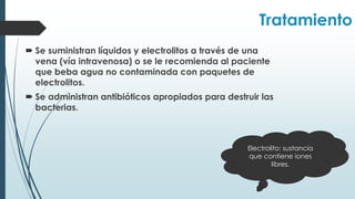  Se suministran líquidos y electrolitos a través de una
vena (vía intravenosa) o se le recomienda al paciente
que beba agua no contaminada con paquetes de
electrolitos.
 Se administran antibióticos apropiados para destruir las
bacterias.
Tratamiento
Electrolito: sustancia
que contiene iones
libres.
 