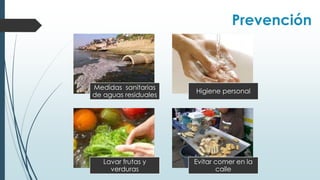 Medidas sanitarias
de aguas residuales
Higiene personal
Lavar frutas y
verduras
Evitar comer en la
calle
Prevención
 