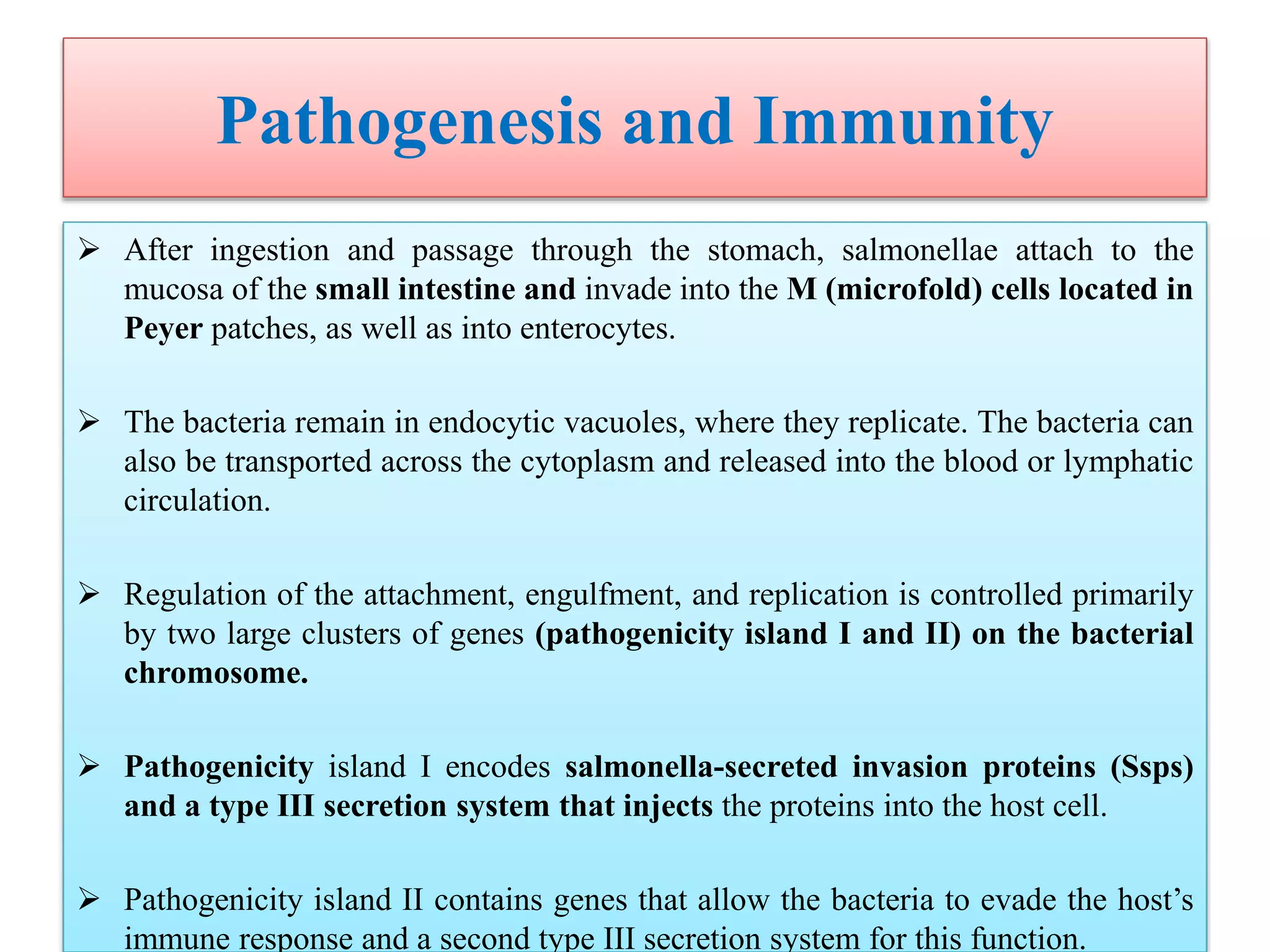 Pathogenesis and Immunity
 After ingestion and passage through the stomach, salmonellae attach to the
mucosa of the small intestine and invade into the M (microfold) cells located in
Peyer patches, as well as into enterocytes.
 The bacteria remain in endocytic vacuoles, where they replicate. The bacteria can
also be transported across the cytoplasm and released into the blood or lymphatic
circulation.
 Regulation of the attachment, engulfment, and replication is controlled primarily
by two large clusters of genes (pathogenicity island I and II) on the bacterial
chromosome.
 Pathogenicity island I encodes salmonella-secreted invasion proteins (Ssps)
and a type III secretion system that injects the proteins into the host cell.
 Pathogenicity island II contains genes that allow the bacteria to evade the host’s
immune response and a second type III secretion system for this function.
 