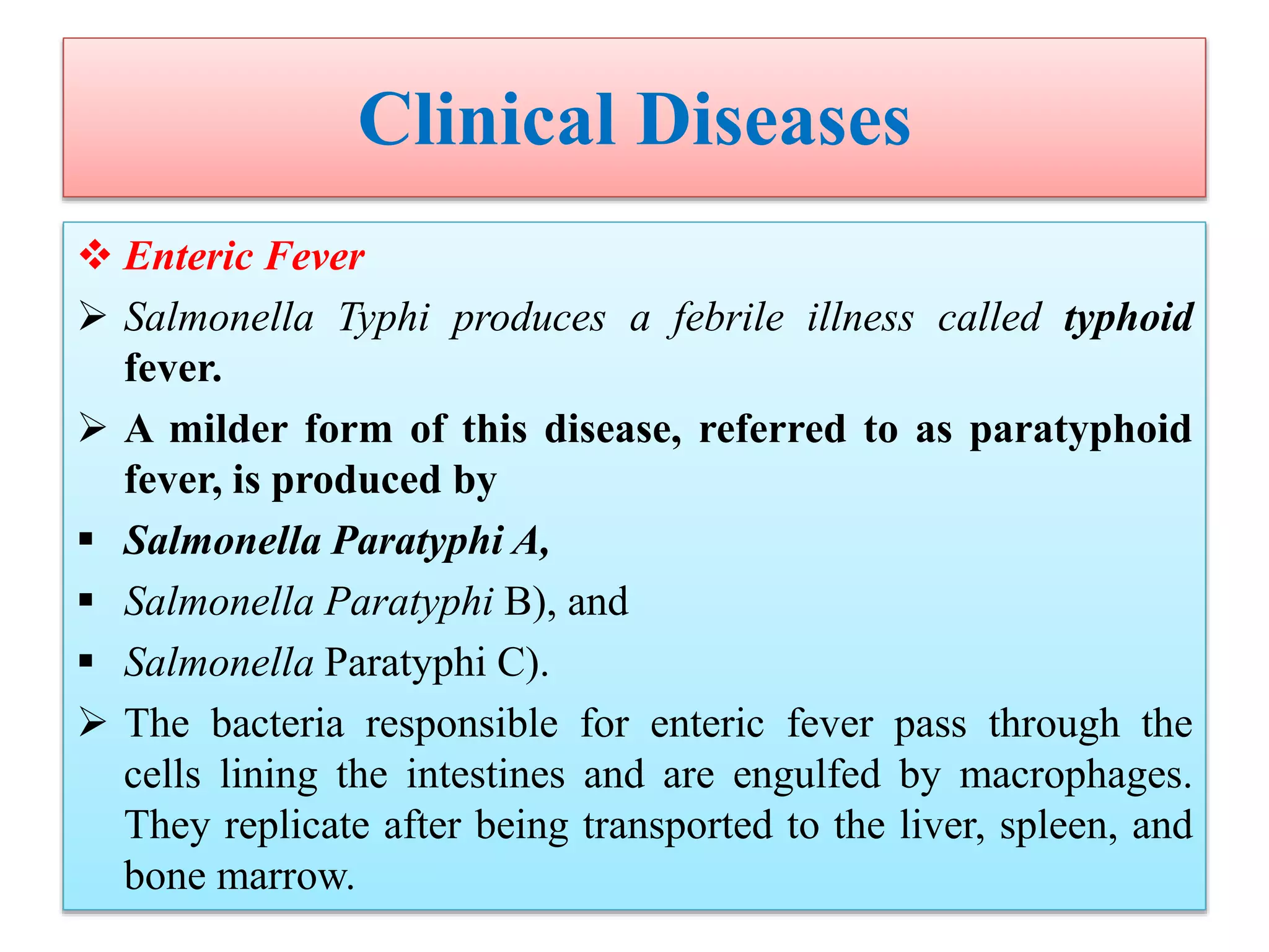 Clinical Diseases
 Enteric Fever
 Salmonella Typhi produces a febrile illness called typhoid
fever.
 A milder form of this disease, referred to as paratyphoid
fever, is produced by
 Salmonella Paratyphi A,
 Salmonella Paratyphi B), and
 Salmonella Paratyphi C).
 The bacteria responsible for enteric fever pass through the
cells lining the intestines and are engulfed by macrophages.
They replicate after being transported to the liver, spleen, and
bone marrow.
 