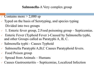 Salmonella-A Very complex group
 Contains more > 2,000 sp
 Typed on the basis of Serotyping, and species typing
Divided into two groups
 1. Enteric fever group, 2.Food poisoning group – Septicemias.
 Enteric Fever (Typhoid Fever )-Caused by Salmonella typhi,
and other Groups called as Paratyphi A, B, C.
 Salmonella typhi - Causes Typhoid
 Salmonella Paratyphi A,B,C Causes Paratyphoid fevers.
 Food Poison group
 Spread from Animals – Humans
 Causes Gastroenteritis – Septicemias, Localized Infection
 