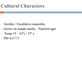 Cultural Characters
 Aerobic / Facultative anaerobic
 Grows on simple media – Nutrient agar
 Temp 15 – 41ºc / 37º c
 PH=6.5-7.5
 