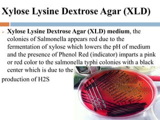 Xylose Lysine Dextrose Agar (XLD)
 Xylose Lysine Dextrose Agar (XLD) medium, the
colonies of Salmonella appears red due to the
fermentation of xylose which lowers the pH of medium
and the presence of Phenol Red (indicator) imparts a pink
or red color to the salmonella typhi colonies with a black
center which is due to the
production of H2S
 