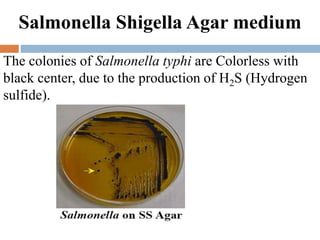 Salmonella Shigella Agar medium
The colonies of Salmonella typhi are Colorless with
black center, due to the production of H2S (Hydrogen
sulfide).
 