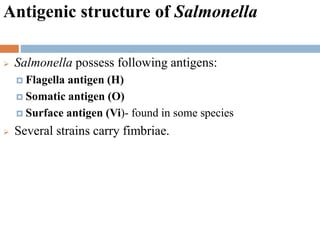 Antigenic structure of Salmonella
 Salmonella possess following antigens:
 Flagella antigen (H)
 Somatic antigen (O)
 Surface antigen (Vi)- found in some species
 Several strains carry fimbriae.
 