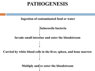 Ingestion of contaminated food or water
Salmonella bacteria
Invade small intestine and enter the bloodstream
Carried by white blood cells in the liver, spleen, and bone marrow
Multiply and re enter the bloodstream
PATHOGENESIS
 