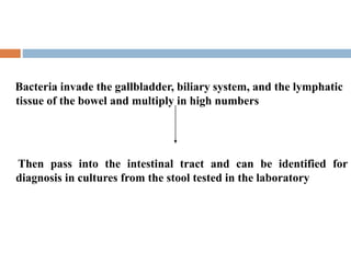 Bacteria invade the gallbladder, biliary system, and the lymphatic
tissue of the bowel and multiply in high numbers
Then pass into the intestinal tract and can be identified for
diagnosis in cultures from the stool tested in the laboratory
 