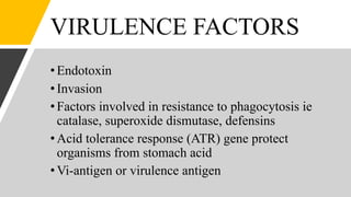VIRULENCE FACTORS
•Endotoxin
•Invasion
•Factors involved in resistance to phagocytosis ie
catalase, superoxide dismutase, defensins
•Acid tolerance response (ATR) gene protect
organisms from stomach acid
•Vi-antigen or virulence antigen
 