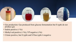 • Gas production: Gas produced from glucose fermentation but S typhi do not
produce gas
• Indole positive (+Ve)
• Methyl red positive (+Ve), VP negative (-Ve)
• Citrate positive, but S typhi and S Para typhi A negative
 