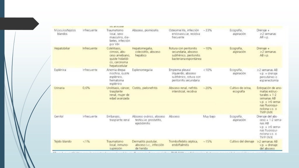 Salmonella y fiebre tifoidea