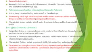  Salmonellosis in poultry
 Salmonella Pullorum, Salmonella Gallinarum and Salmonella Enteritidis can infect the ovaries of
hens and be transmitted through eggs.
 Pullorum disease or bacillary white diarrhoea (Salmonella Pullorum):
 Infects young chicks and turkey poults up to 2 to 3 weeks of age.
 The mortality rate is high and affected birds huddle under a heat source and are anorexic,
depressed and have whitish faecal pasting around their vents.
 Characteristic lesions includes whitish nodes throughout the lungs and focal necrosis of liver and
spleen.
Fowl typhoid (Salmonella Gallinarum):
 Can produce lesions in young chicks and poults similar to those of pullorum disease, but it is also
a serious concern in growing and adult poultry
 However, in countries where fowl typhoid is endemic, a septicaemic disease of adult birds occurs,
often resulting in sudden deaths.
 Characteristic findings include an enlarged, friable, bile-stained liver and enlarged spleen.
 Paratyphoid is a name given to infections of poultry by non-host-adapted salmonellae such as
Salmonella Enteritidis and Salmonella Typhimurium. These infections are often subclinical in
laying birds.
 