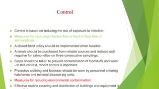 Control
 Control is based on reducing the risk of exposure to infection.
 Measures for excluding infection from a herd or flock free of
salmonellosis:
 A closed-herd policy should be implemented when feasible.
 Animals should be purchased from reliable sources and isolated until
negative for salmonellae on three consecutive samplings.
 Steps should be taken to prevent contamination of foodstuffs and water
- In this context, rodent control is important.
 Protective clothing and footwear should be worn by personnel entering
hatcheries and minimal disease pig units.
 Measures for reducing environmental contamination:
 Effective routine cleaning and disinfection of buildings and equipment is
 