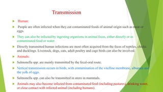 Transmission
 Human:
 People are often infected when they eat contaminated foods of animal origin such as meat or
eggs.
 They can also be infected by ingesting organisms in animal feces, either directly or in
contaminated food or water.
 Directly transmitted human infections are most often acquired from the feces of reptiles, chicks
and ducklings. Livestock, dogs, cats, adult poultry and cage birds can also be involved.
 Animals:
 Salmonella spp. are mainly transmitted by the fecal-oral route.
 Vertical transmission occurs in birds, with contamination of the vitelline membrane, albumen and
the yolk of eggs.
 Salmonella spp. can also be transmitted in utero in mammals.
 Animals may also become infected from contaminated feed (including pastures), drinking water,
or close contact with infected animal (including humans).
 