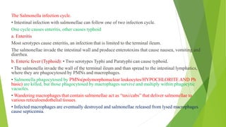 The Salmonella infection cycle.
• Intestinal infection with salmonellae can follow one of two infection cycle.
One cycle causes enteritis, other causes typhoid
a. Enteritis
Most serotypes cause enteritis, an infection that is limited to the terminal ileum.
The salmonellae invade the intestinal wall and produce enterotoxins that cause nausea, vomiting and
diarrhea.
b. Enteric fever (Typhoid): • Two serotypes Typhi and Paratyphi can cause typhoid.
• The salmonella invade the wall of the terminal ileum and than spread to the intestinal lymphatics,
where they are phagocytosed by PMNs and macrophages.
• Salmonella phagocytosed by PMNs(polymorphonuclear leukocytes/HYPOCHLORITE AND Ph
basic) are killed, but those phagocytosed by macrophages survive and multiply within phagocytic
vacuoles.
• Wandering macrophages that contain salmonellae act as “taxi/cabs” that deliver salmonellae to
various reticuloendothelial tissues.
• Infected macrophages are eventually destroyed and salmonellae released from lysed macrophages
cause septicemia.
 