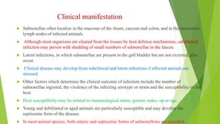 Clinical manifestation
 Salmonellae often localize in the mucosae of the ileum, caecum and colon, and in the mesenteric
lymph nodes of infected animals.
 Although most organisms are cleared from the tissues by host defense mechanisms, subclinical
infection may persist with shedding of small numbers of salmonellae in the faeces.
 Latent infections, in which salmonellae are present in the gall bladder but are not excreted, also
occur.
 Clinical disease may develop from subclinical and latent infections if affected animals are
stressed.
 Other factors which determine the clinical outcome of infection include the number of
salmonellae ingested, the virulence of the infecting serotype or strain and the susceptibility of the
host.
 Host susceptibility may be related to immunological status, genetic make- up or age.
 Young and debilitated or aged animaIs are particularly susceptible and may develop the
septicemic form of the disease.
 In most animal species, both enteric and septicemic forms of salmonellosis are recorded.
 