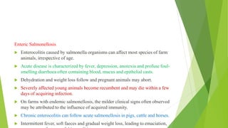 Enteric Salmonellosis
 Enterocolitis caused by salmonella organisms can affect most species of farm
animals, irrespective of age.
 Acute disease is characterized by fever, depression, anorexia and profuse foul-
smelling diarrhoea often containing blood, mucus and epithelial casts.
 Dehydration and weight loss follow and pregnant animals may abort.
 Severely affected young animals become recumbent and may die within a few
days of acquiring infection.
 On farms with endemic salmonellosis, the milder clinical signs often observed
may be attributed to the influence of acquired immunity.
 Chronic enterocolitis can follow acute salmonellosis in pigs, cattle and horses.
 Intermittent fever, soft faeces and gradual weight loss, leading to emaciation,
 