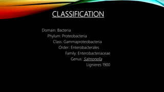 CLASSIFICATION
Domain: Bacteria
Phylum: Proteobacteria
Class: Gammaproteobacteria
Order: Enterobacterales
Family: Enterobacteriaceae
Genus: Salmonella
Lignieres 1900
 