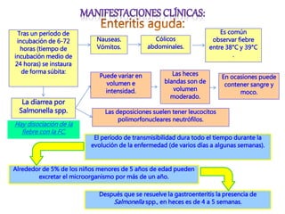 La diarrea por
Salmonella spp.
Puede variar en
volumen e
intensidad.
Las heces
blandas son de
volumen
moderado.
En ocasiones puede
contener sangre y
moco.
Las deposiciones suelen tener leucocitos
polimorfonucleares neutrófilos.
Es común
observar fiebre
entre 38°C y 39°C
.
Cólicos
abdominales.
El período de transmisibilidad dura todo el tiempo durante la
evolución de la enfermedad (de varios días a algunas semanas).
Alrededor de 5% de los niños menores de 5 años de edad pueden
excretar el microorganismo por más de un año.
Después que se resuelve la gastroenteritis la presencia de
Salmonella spp., en heces es de 4 a 5 semanas.
Nauseas.
Vómitos.
Tras un período de
incubación de 6-72
horas (tiempo de
incubación medio de
24 horas) se instaura
de forma súbita:
Hay disociación de la
fiebre con la FC.
 