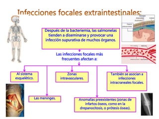 Después de la bacteriemia, las salmonelas
tienden a diseminarse y provocar una
infección supurativa de muchos órganos.
Las infecciones focales más
frecuentes afectan a:
Anomalías preexistentes (zonas de
infartos óseos, como en la
drepanocitosis, o prótesis óseas).
Al sistema
esquelético.
Las meninges.
Zonas
intravasculares.
También se asocian a
infecciones
intracraneales focales.
 