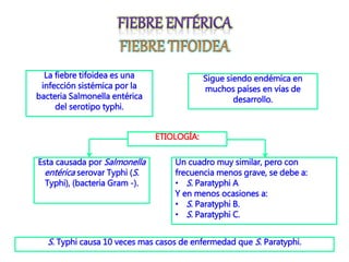 La fiebre tifoidea es una
infección sistémica por la
bacteria Salmonella entérica
del serotipo typhi.
Sigue siendo endémica en
muchos países en vías de
desarrollo.
ETIOLOGÍA:
Esta causada por Salmonella
entérica serovar Typhi (S.
Typhi), (bacteria Gram -).
Un cuadro muy similar, pero con
frecuencia menos grave, se debe a:
• S. Paratyphi A
Y en menos ocasiones a:
• S. Paratyphi B.
• S. Paratyphi C.
S. Typhi causa 10 veces mas casos de enfermedad que S. Paratyphi.
 
