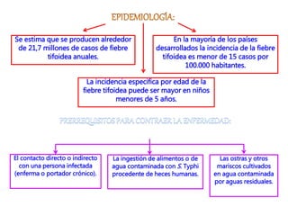 Se estima que se producen alrededor
de 21,7 millones de casos de fiebre
tifoidea anuales.
En la mayoría de los países
desarrollados la incidencia de la fiebre
tifoidea es menor de 15 casos por
100.000 habitantes.
La incidencia especifica por edad de la
fiebre tifoidea puede ser mayor en niños
menores de 5 años.
El contacto directo o indirecto
con una persona infectada
(enferma o portador crónico).
La ingestión de alimentos o de
agua contaminada con S. Typhi
procedente de heces humanas.
Las ostras y otros
mariscos cultivados
en agua contaminada
por aguas residuales.
 