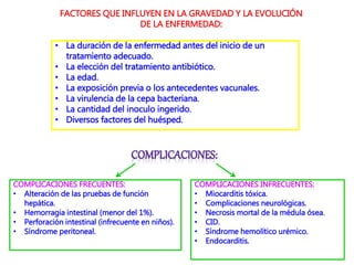 FACTORES QUE INFLUYEN EN LA GRAVEDAD Y LA EVOLUCIÓN
DE LA ENFERMEDAD:
• La duración de la enfermedad antes del inicio de un
tratamiento adecuado.
• La elección del tratamiento antibiótico.
• La edad.
• La exposición previa o los antecedentes vacunales.
• La virulencia de la cepa bacteriana.
• La cantidad del inoculo ingerido.
• Diversos factores del huésped.
COMPLICACIONES FRECUENTES:
• Alteración de las pruebas de función
hepática.
• Hemorragia intestinal (menor del 1%).
• Perforación intestinal (infrecuente en niños).
• Síndrome peritoneal.
COMPLICACIONES INFRECUENTES:
• Miocarditis tóxica.
• Complicaciones neurológicas.
• Necrosis mortal de la médula ósea.
• CID.
• Síndrome hemolítico urémico.
• Endocarditis.
 