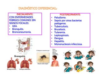 INICIALMENTE:
CON ENFERMEDADES
FEBRILES COMUNES SIN
SIGNOS FOCALES:
• GEA.
• Bronquitis.
• Bronconeumonía.
POSTERIORMENTE:
• Paludismo.
• Sepsis por otras bacterias
patógenas.
• Tuberculosis.
• Brucelosis.
• Tularemia.
• Leptospirosis.
• Dengue.
• Hepatitis.
• Mononucleosis infecciosa.
 