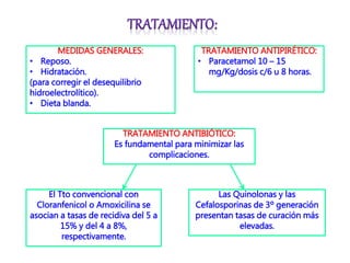 MEDIDAS GENERALES:
• Reposo.
• Hidratación.
(para corregir el desequilibrio
hidroelectrolítico).
• Dieta blanda.
TRATAMIENTO ANTIPIRÉTICO:
• Paracetamol 10 – 15
mg/Kg/dosis c/6 u 8 horas.
TRATAMIENTO ANTIBIÓTICO:
Es fundamental para minimizar las
complicaciones.
El Tto convencional con
Cloranfenicol o Amoxicilina se
asocian a tasas de recidiva del 5 a
15% y del 4 a 8%,
respectivamente.
Las Quinolonas y las
Cefalosporinas de 3º generación
presentan tasas de curación más
elevadas.
 