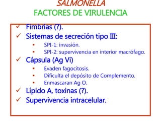 SALMONELLA
FACTORES DE VIRULENCIA
 Fimbrias (?).
 Sistemas de secreción tipo III:
 SPI-1: invasión.
 SPI-2: supervivencia en interior macrófago.
 Cápsula (Ag Vi)
 Evaden fagocitosis.
 Dificulta el depósito de Complemento.
 Enmascaran Ag O.
 Lípido A, toxinas (?).
 Supervivencia intracelular.
 