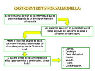 Es la forma más común de la enfermedad que se
presenta después de un brote por infección
alimentaria.
Los síntomas aparecen en general de 6 a 48
horas después del consumo de agua o
alimentos contaminados.
El cuadro clínico de la salmonelosis no
tífica (gastroenteritis o enterocolitis) puede
incluir
• Diarrea.
• Cefalalgia.
• Dolor abdominal.
• Náusea.
• Vómito.
• Fiebre.
• Deshidratación.
Afecta a todos los grupos de edad,
con mayor incidencia en menores de
cinco años y mayores de 60 años de
edad.
 