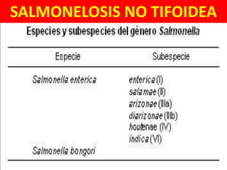 SALMONELOSIS NO TIFOIDEA
 