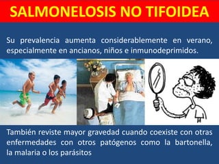 SALMONELOSIS NO TIFOIDEA
Su prevalencia aumenta considerablemente en verano,
especialmente en ancianos, niños e inmunodeprimidos.
También reviste mayor gravedad cuando coexiste con otras
enfermedades con otros patógenos como la bartonella,
la malaria o los parásitos
 
