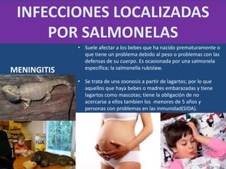 INFECCIONES LOCALIZADAS
POR SALMONELAS
• Suele afectar a los bebes que ha nacido prematuramente o
que tiene un problema debido al peso o problemas con las
defensas de su cuerpo. Es ocasionada por una salmonela
específica; la salmonella rubislaw.
• Se trata de una zoonosis a partir de lagartos; por lo que
aquellos que haya bebes o madres embarazadas y tiene
lagartos como mascotas; tiene la obligación de no
acercarse a ellos tambien los menores de 5 años y
personas con problemas en las inmunidad(SIDA).
MENINGITIS
 