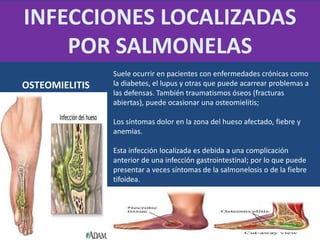 Suele ocurrir en pacientes con enfermedades crónicas como
la diabetes, el lupus y otras que puede acarrear problemas a
las defensas. También traumatismos óseos (fracturas
abiertas), puede ocasionar una osteomielitis;
Los síntomas dolor en la zona del hueso afectado, fiebre y
anemias.
Esta infección localizada es debida a una complicación
anterior de una infección gastrointestinal; por lo que puede
presentar a veces síntomas de la salmonelosis o de la fiebre
tifoidea.
INFECCIONES LOCALIZADAS
POR SALMONELAS
OSTEOMIELITIS
 