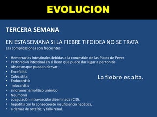 TERCERA SEMANA
EN ESTA SEMANA SI LA FIEBRE TIFOIDEA NO SE TRATA
Las complicaciones son frecuentes:
• Hemorragias Intestinales debidas a la congestión de las Placas de Peyer
• Perforación intestinal en el Íleon que puede dar lugar a peritonitis
• Abscesos que pueden derivar :
• Encefalitis
• Colecistitis
• Endocarditis
• miocarditis
• síndrome hemolítico urémico
• Neumonía
• coagulación intravascular diseminada (CID),
• hepatitis con la consecuente insuficiencia hepática,
• a demás de osteítis; y fallo renal.
EVOLUCION
La fiebre es alta.
 