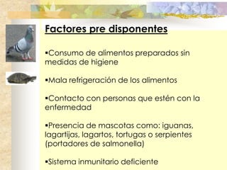 Factores pre disponentes

Consumo de alimentos preparados sin
medidas de higiene

Mala refrigeración de los alimentos

Contacto con personas que estén con la
enfermedad

Presencia de mascotas como: iguanas,
lagartijas, lagartos, tortugas o serpientes
(portadores de salmonella)

Sistema inmunitario deficiente
 