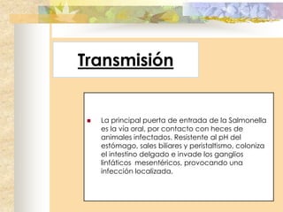 Transmisión


    La principal puerta de entrada de la Salmonella
     es la vía oral, por contacto con heces de
     animales infectados. Resistente al pH del
     estómago, sales biliares y peristaltismo, coloniza
     el intestino delgado e invade los ganglios
     linfáticos mesentéricos, provocando una
     infección localizada.
 