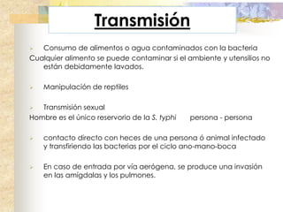 Transmisión
  Consumo de alimentos o agua contaminados con la bacteria
Cualquier alimento se puede contaminar si el ambiente y utensilios no
   están debidamente lavados.

   Manipulación de reptiles

  Transmisión sexual
Hombre es el único reservorio de la S. typhi   persona - persona

   contacto directo con heces de una persona ó animal infectado
    y transfiriendo las bacterias por el ciclo ano-mano-boca

   En caso de entrada por vía aerógena, se produce una invasión
    en las amígdalas y los pulmones.
 