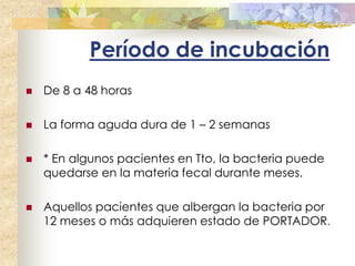 Período de incubación
   De 8 a 48 horas

   La forma aguda dura de 1 – 2 semanas

   * En algunos pacientes en Tto, la bacteria puede
    quedarse en la materia fecal durante meses.

   Aquellos pacientes que albergan la bacteria por
    12 meses o más adquieren estado de PORTADOR.
 