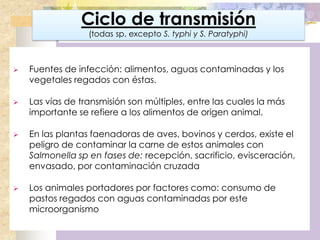 Ciclo de transmisión
                  (todas sp, excepto S. typhi y S. Paratyphi)



   Fuentes de infección: alimentos, aguas contaminadas y los
    vegetales regados con éstas.

   Las vías de transmisión son múltiples, entre las cuales la más
    importante se refiere a los alimentos de origen animal.

   En las plantas faenadoras de aves, bovinos y cerdos, existe el
    peligro de contaminar la carne de estos animales con
    Salmonella sp en fases de: recepción, sacrificio, evisceración,
    envasado, por contaminación cruzada

   Los animales portadores por factores como: consumo de
    pastos regados con aguas contaminadas por este
    microorganismo
 